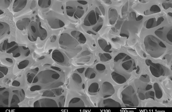 PVA Pore Morphology