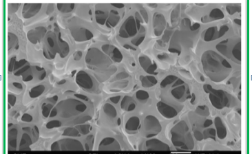 PVA Sponge Pore Morphology