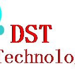 DST Company Logo