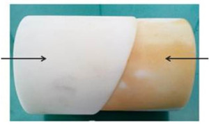 PVA sponge surface comparison