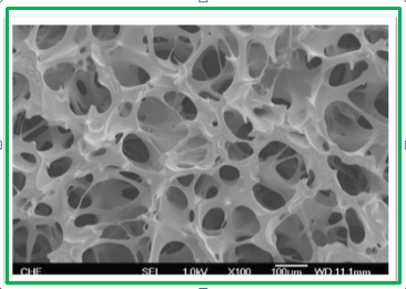 PVA Sponge Pore Morphology